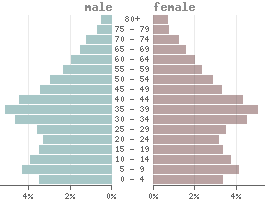 Pyramide des âges Iran 2021