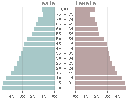 Pyramide des âges Israël 2021