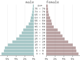 Pyramide des âges Malawi 2021