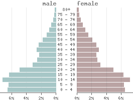 Pyramide des âges Soudan du Sud 2021