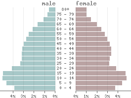 Pyramide des âges Venezuela 2021