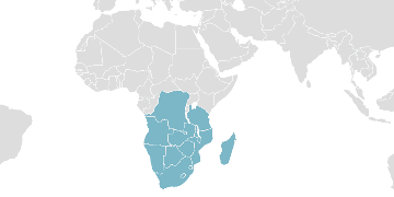 Carte mondiale des pays membres : CDAA - Communauté de développement d'Afrique australe