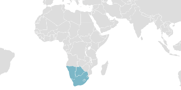 Carte mondiale des pays membres : SACU - Union douanière d’Afrique australe