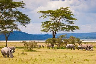 Le tourisme en Kenya