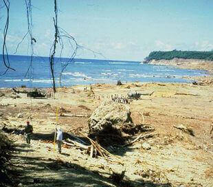 Tsunami en Flores Maumere 1992, Indonésie